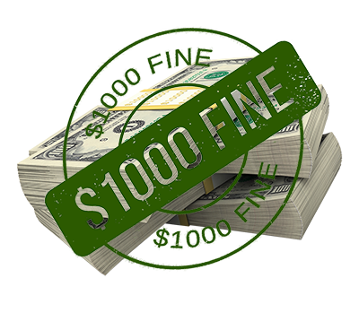 1000 Dollar Loan